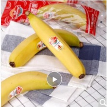 佳农 厄瓜多尔进口香蕉 2kg（约10-12根） 单根装 新鲜水果