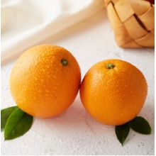 江西赣南脐橙 精品果 现摘橙子 新鲜水果  5斤精品大果