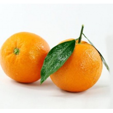 帆儿庄园 秭归九月红甜脐橙中大果 新鲜水果橙子 约2.5kg