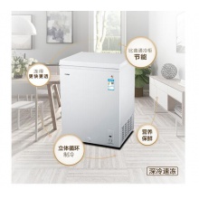 海尔（Haier） 102升家用冰柜 冷藏冷冻转换柜 小型迷你冷柜 节能单温冰箱 BC/BD-102HT